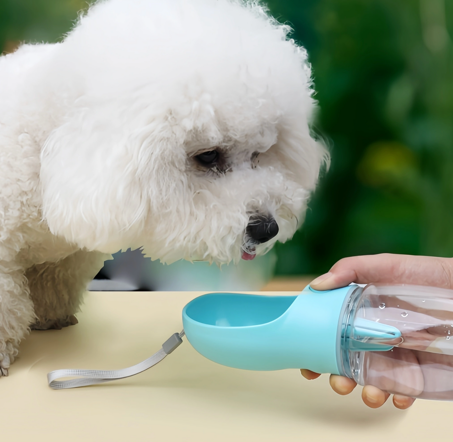 Eat and Sip Pet Bottle