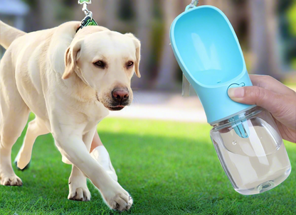 Eat and Sip Pet Bottle